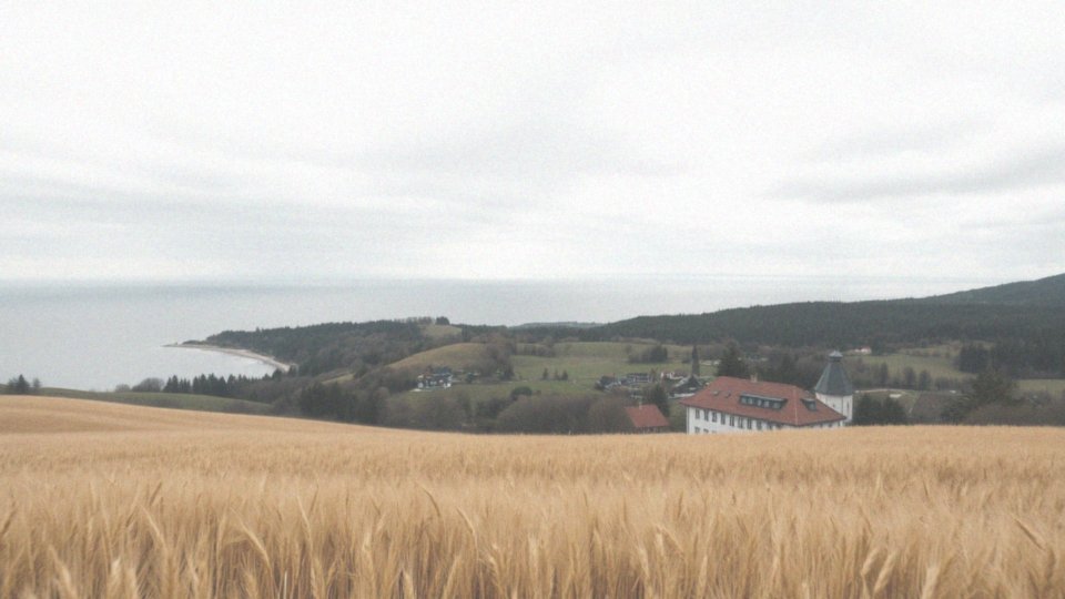 Jak rozkład lądów i mórz wpływa na klimat Polski?